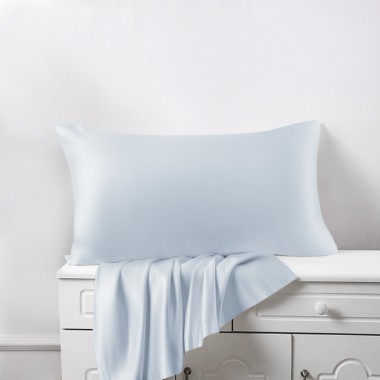 Online Alice Blue 22 Momme Mulberry Silk Pillowcase with Hidden Zipper