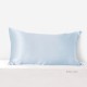 Online Baby Blue 22 Momme Mulberry Silk Pillowcase with Hidden Zipper