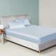 Online Baby Blue 22 Momme Mulberry Silk Sheet Set