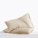 Online Beige Envelope 22 Momme Mulberry Silk Pillowcase