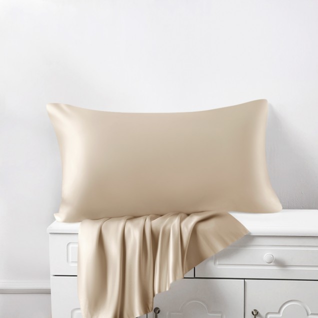 Online Beige Envelope 22 Momme Mulberry Silk Pillowcase