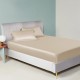 Online Beige 22 Momme Mulberry Silk Sheet Set