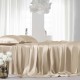 Online Beige 22 Momme Mulberry Silk Sheet Set