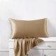 Online Cappuccino 22 Momme Mulberry Silk Pillowcase with Hidden Zipper