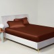 Online Rust Red 22 Momme Mulberry Silk Fitted Sheet