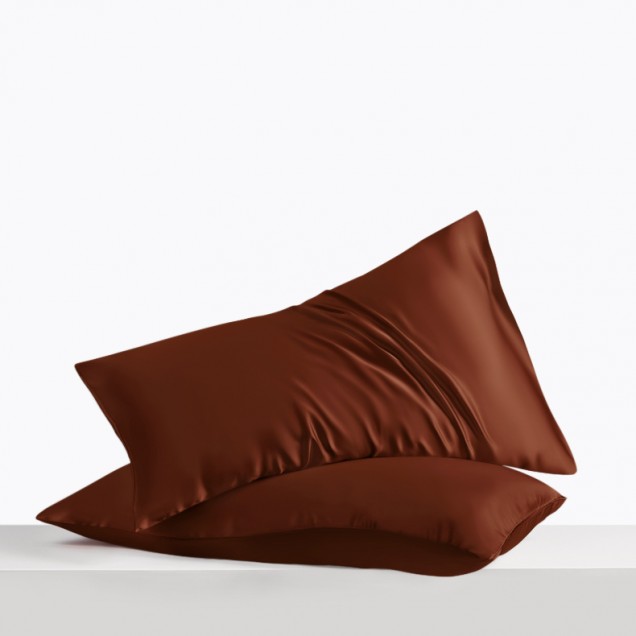 Online Rust Red Envelope 22 Momme Mulberry Silk Pillowcase