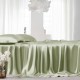 Online Sage Green 22 Momme Mulberry Silk Sheet Set